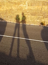 High angle view of shadow on road