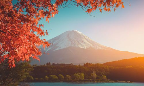 Scenic view of lake by trees during autumn against sky