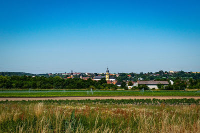 Scenic view of agricultural field against clear sky