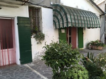 Potted plants outside building