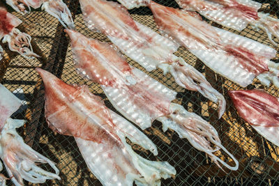 Close-up of seafood for sale at market