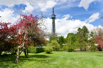 Trees in park against cloudy sky