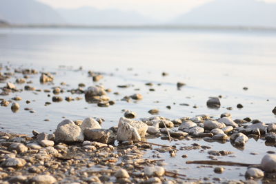 Close-up of pebbles on beach against sky