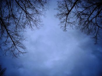 Low angle view of bare trees against sky