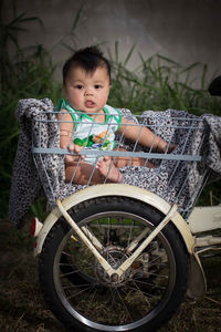 Portrait of cute baby boy sitting in vehicle cart