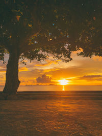 Scenic view of silhouette trees against sky during sunset