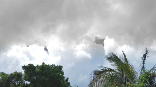 Low angle view of trees against cloudy sky