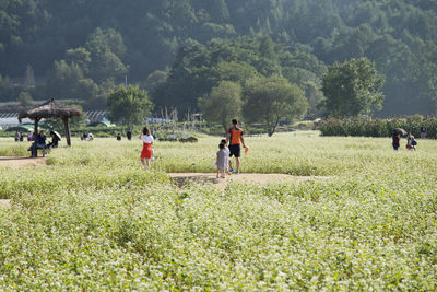 People walking on field against trees