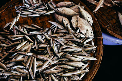Fish for sale at market