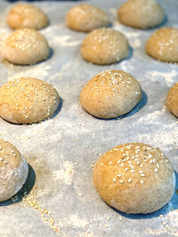 High angle view of shells on table