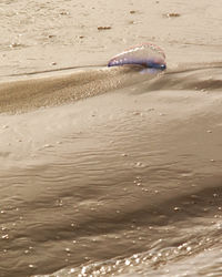 View of waves in sea