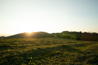 Scenic view of field against clear sky during sunset