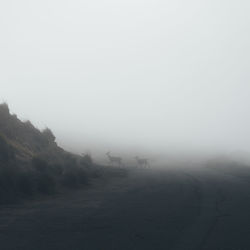 Road amidst landscape against sky