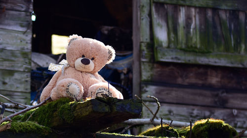 Close-up of stuffed toy