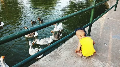 High angle view of boy with mohawk looking at geese while crouching by lake