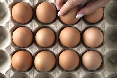 Directly above shot of eggs in row