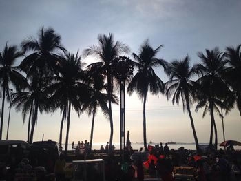 Palm trees at seaside