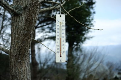 Close-up garden thermometer hanging on tree