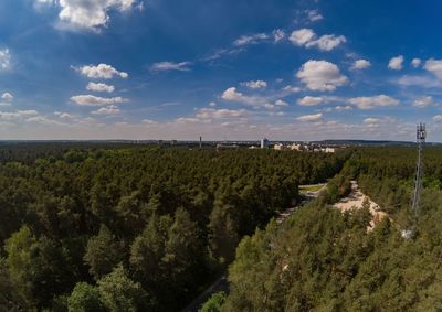 Scenic view of vineyard against sky