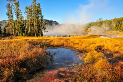 Terrace spring at yellowstone national park