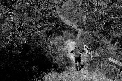 Rear view of man walking on mountain