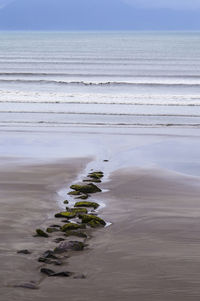 Scenic view of beach