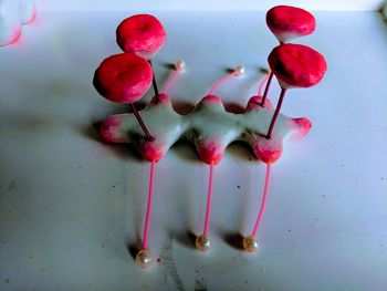 High angle view of cherries on table