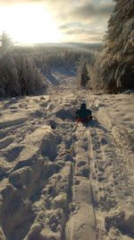 Rear view of person on snow covered landscape