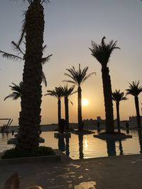 Silhouette palm trees by swimming pool against sky during sunset