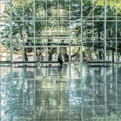 Group of people in glass building