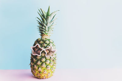 Close-up of potted plant on table against white background