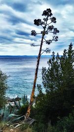 Scenic view of sea against cloudy sky