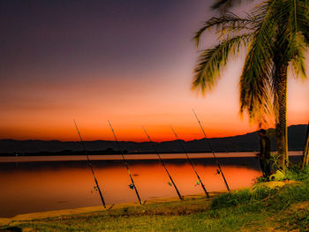 Silhouette palm trees by sea against sky during sunset