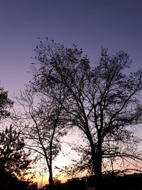 Low angle view of silhouette bare trees against sky