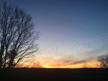 Low angle view of silhouette trees against sky at sunset