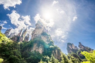 Scenic view of zhangjiajie in hunan, china, featuring unique mountain peaks and lush forests