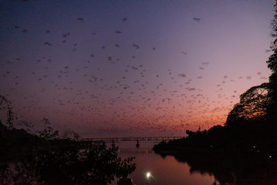 Silhouette of birds flying against the sky