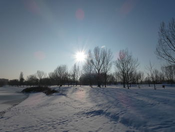 Trees on snow covered field against sky