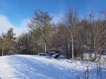 Bare trees on snow covered field against sky