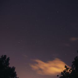 Low angle view of trees against sky