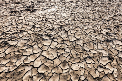 Arid land due to global warming