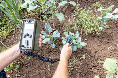 Low section of person holding camera while standing by plants