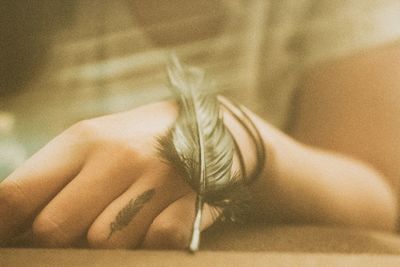 Close-up of feather on hand