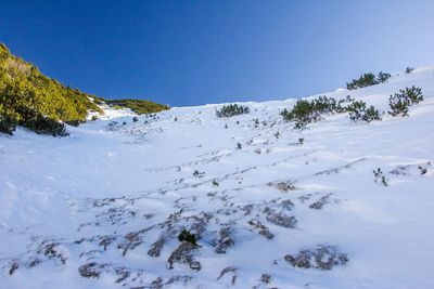 Scenic view of snow covered mountains against clear blue sky