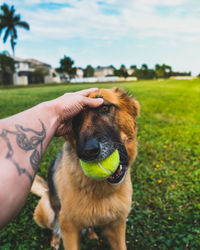 Midsection of person with dog on field