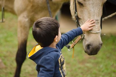 Boy touching horse on field