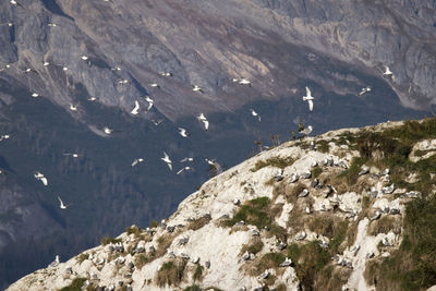 Aerial view of mountain landscape