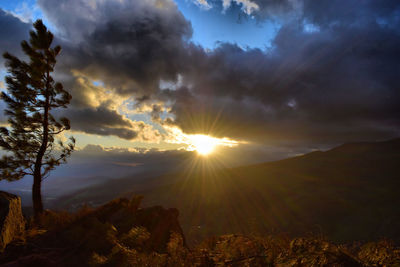 Scenic view of landscape against sky during sunset