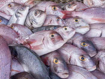 Full frame shot of fish for sale at market