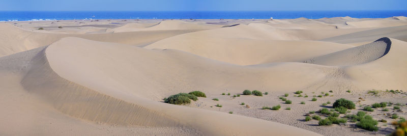 Scenic view of desert against sky